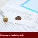 Booking KOC ngành cần chứng nhận: Điều gì tạo nên niềm tin trước khi mua?